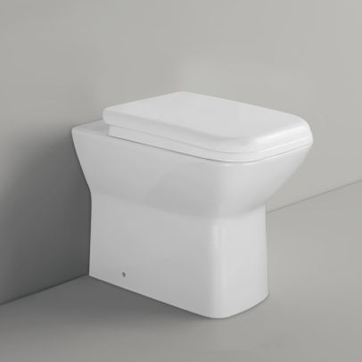 Louis Stylish Back to Wall Rimless Toilet and Soft Close Seat White
